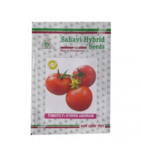 Tomato Abhiram 10 grams